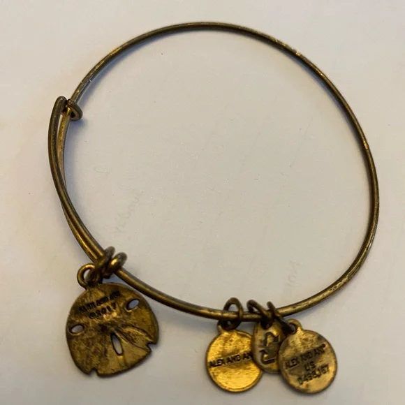 Alex and Ani Gold Tone Sand Dollar Charm Bracelet with Swarovski Crystal - Picture 3 of 5